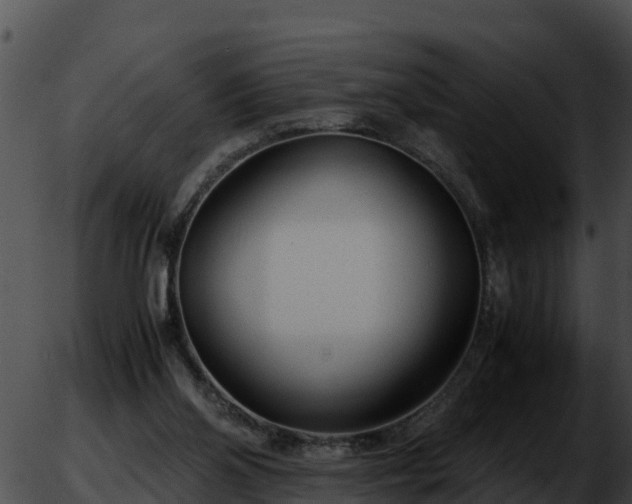 X0000051870110200507020015