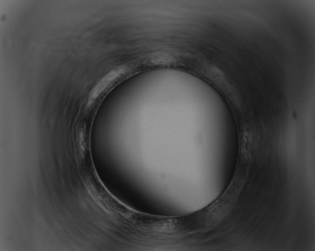 X0000051870116200507020015