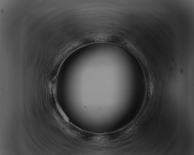 X0000051870117200507020015
