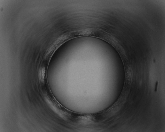 X0000051870118200507020015