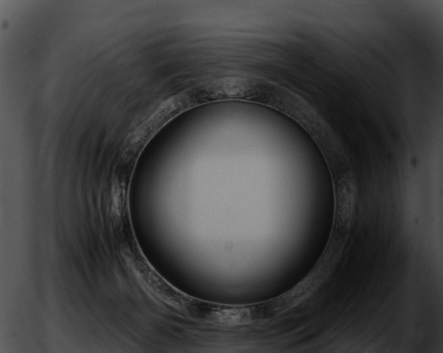 X0000051870126200507020015