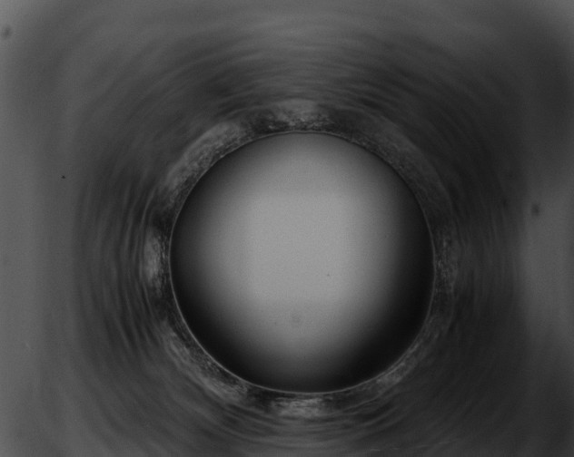 X0000051870132200507020015