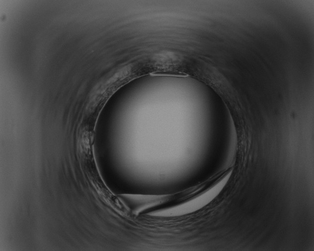 X0000051870137200507020015