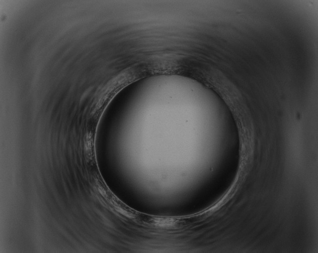 X0000051870144200507020015