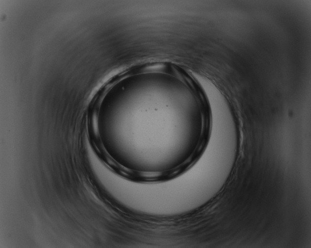 X0000051870156200507020014