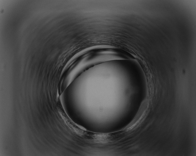 X0000051870192200507020015