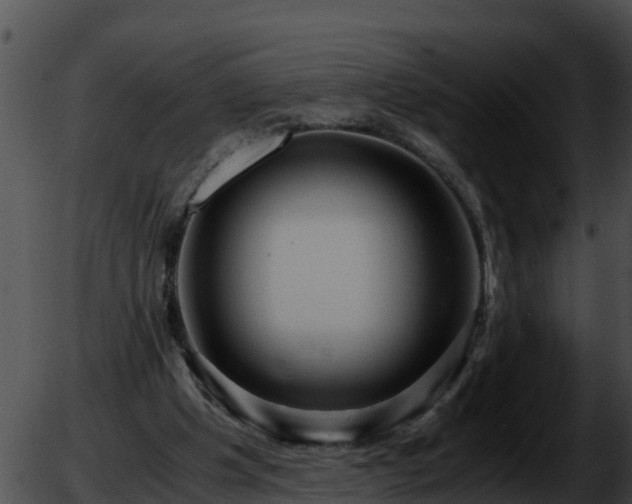 X0000051870201200507020014