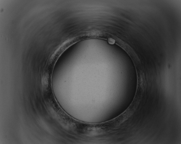 X0000051870208200507020014