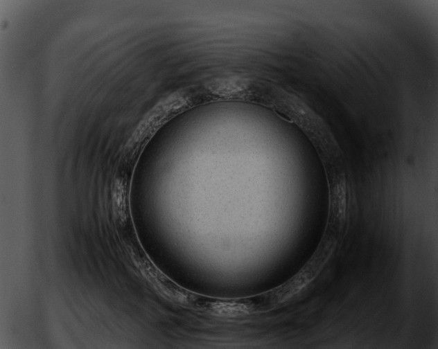 X0000051870234200507020013