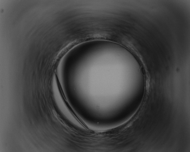 X0000051870249200507020013