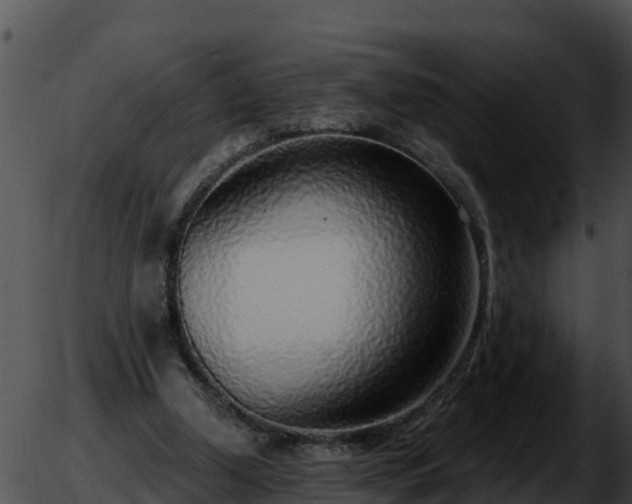 X0000051870250200507020013