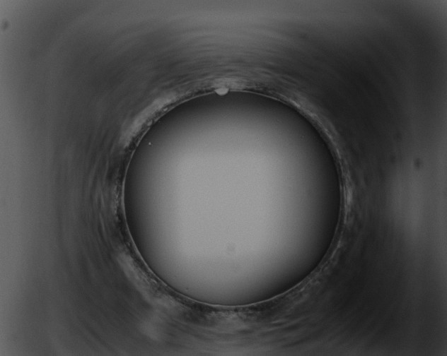 X0000051870297200507020012