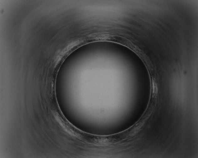 X0000051870301200507020012