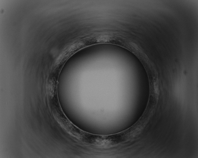 X0000051870311200507020012