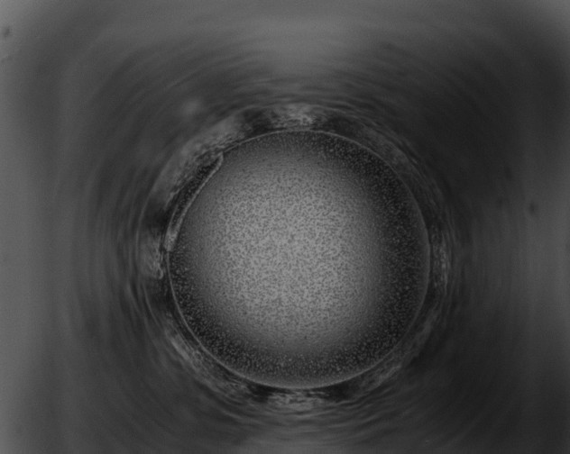 X0000051870331200507020012