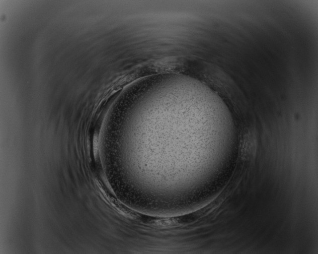 X0000051870335200507020012