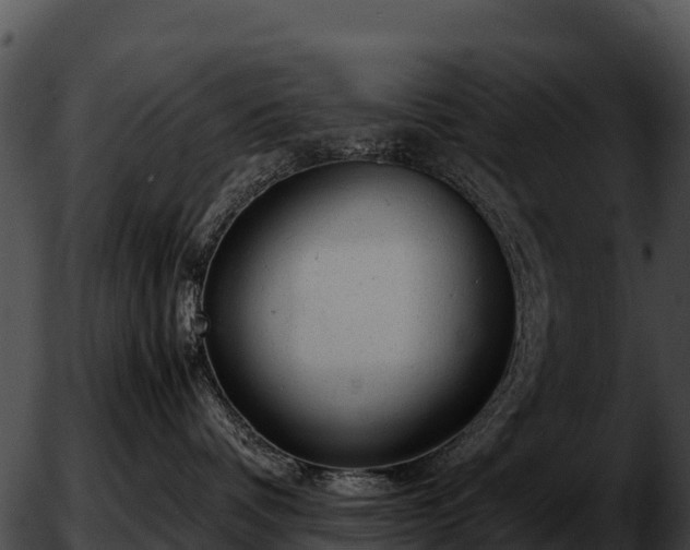 X0000051870336200507020012