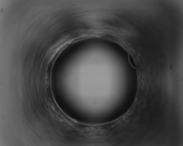 X0000051870338200507020011