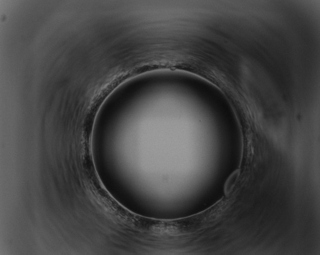 X0000051870354200507020011