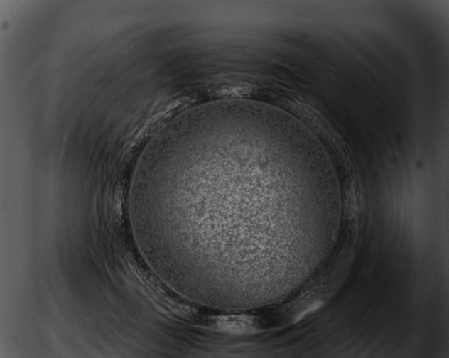 X0000051870363200507020011