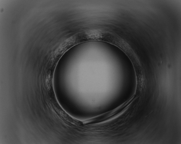 X0000051870364200507020011
