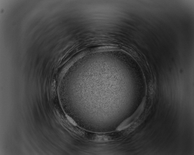 X0000051870376200507020011