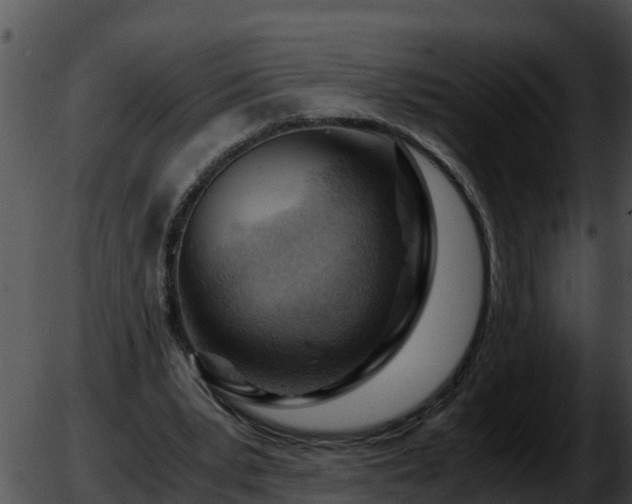 X0000051870391200507020011