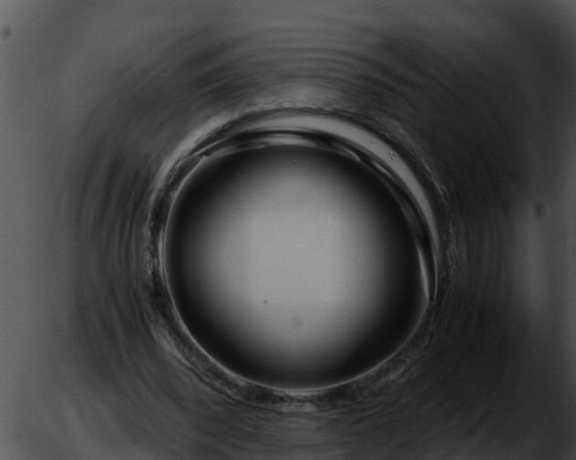 X0000051870392200507020011