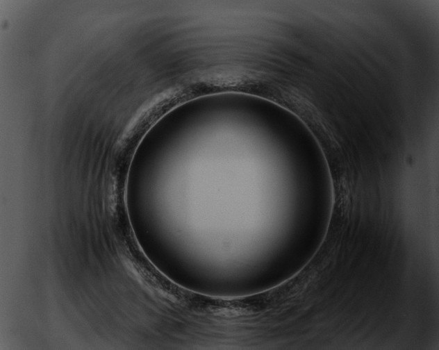 X0000051870400200507020011
