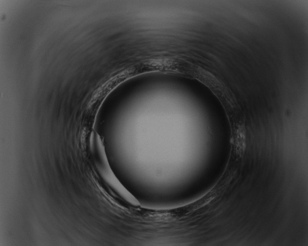 X0000051870428200507020010