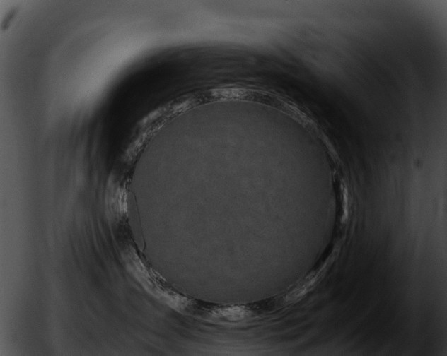 X0000051870431200507020010