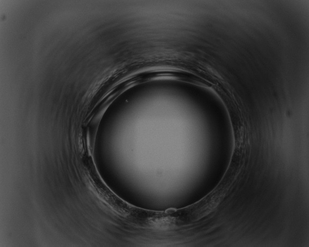 X0000051870452200507020010