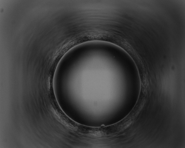 X0000051870454200507020010