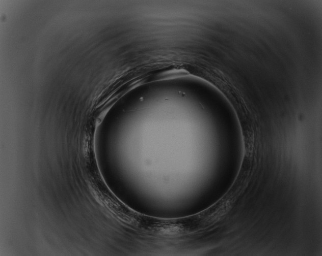 X0000051870456200507020010