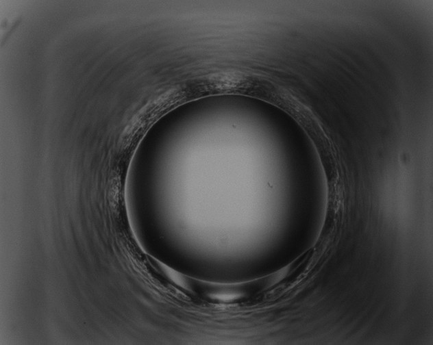 X0000051870509200507020009