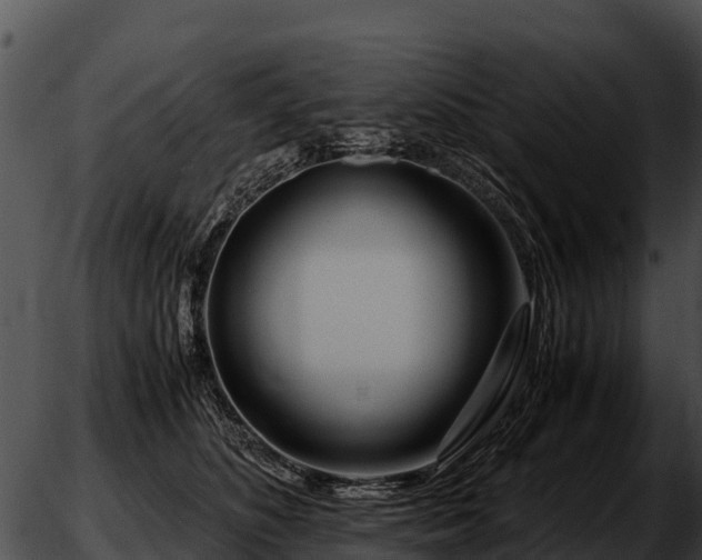 X0000051870516200507020009