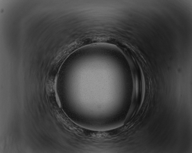 X0000051870517200507020009