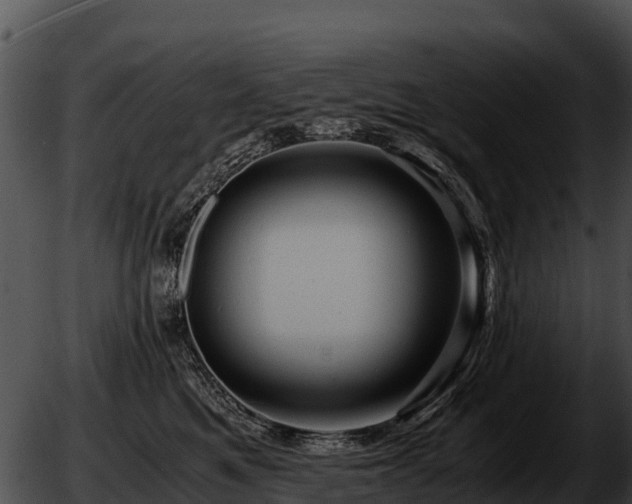 X0000051870521200507020009