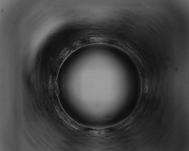 X0000051870524200507020009
