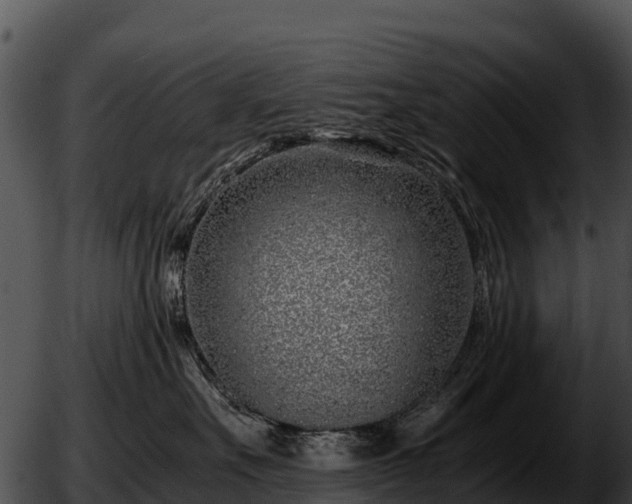 X0000051870527200507020008