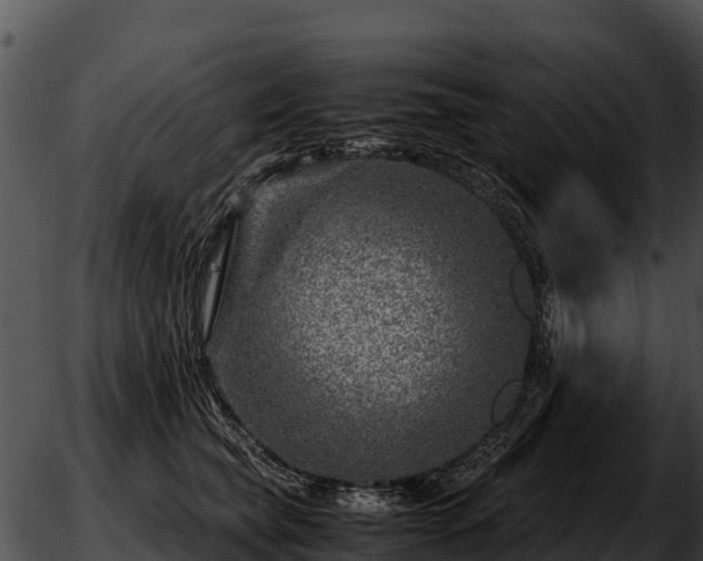 X0000051870565200507020008