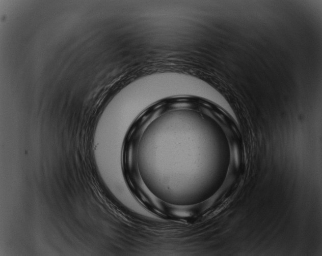 X0000051870566200507020008