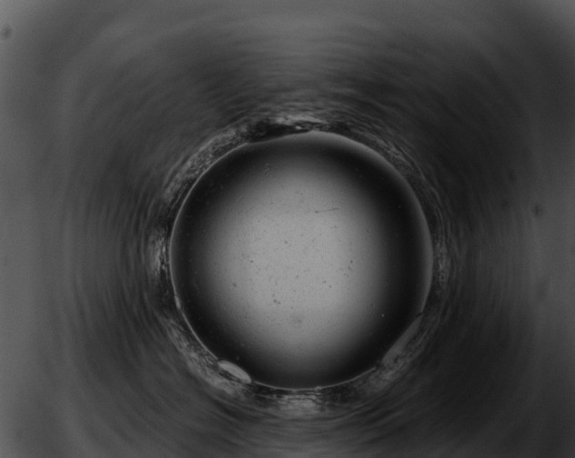 X0000051870574200507020008
