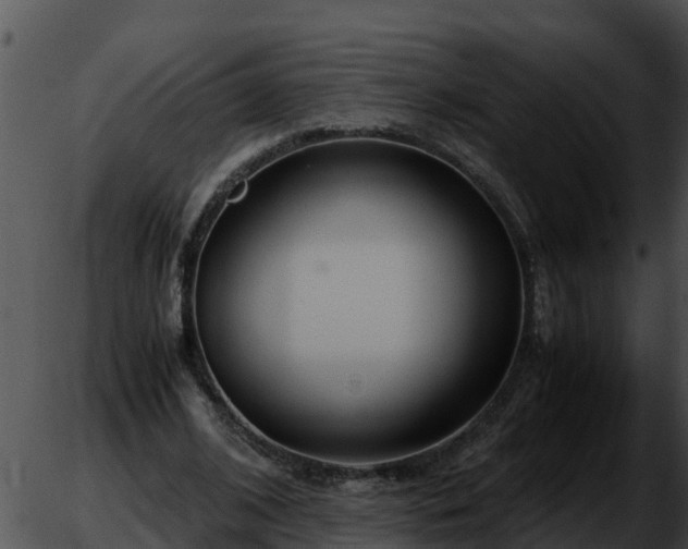 X0000051870584200507020008