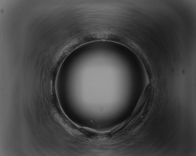 X0000051870589200507020007