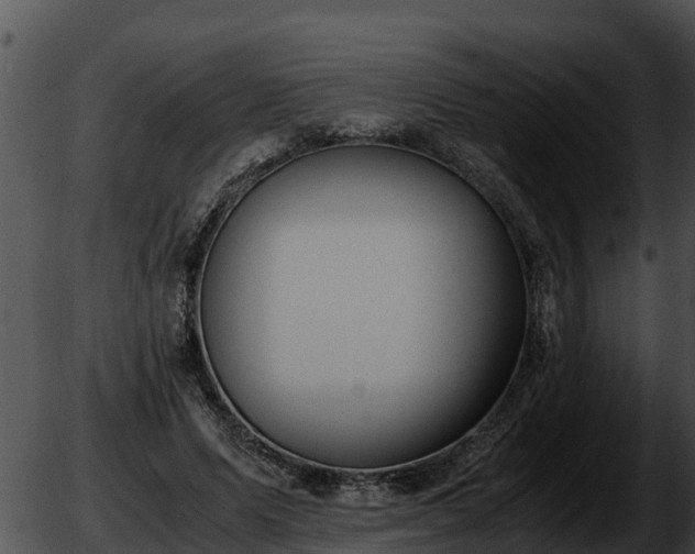 X0000051870591200507020007
