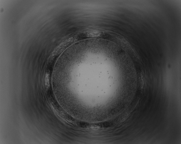 X0000051870598200507020007