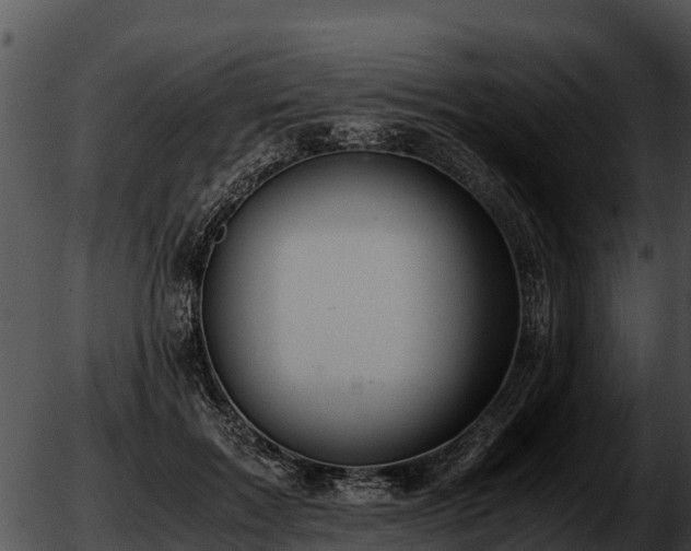 X0000051870603200507020007