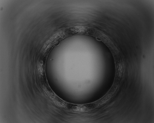 X0000051870612200507020007