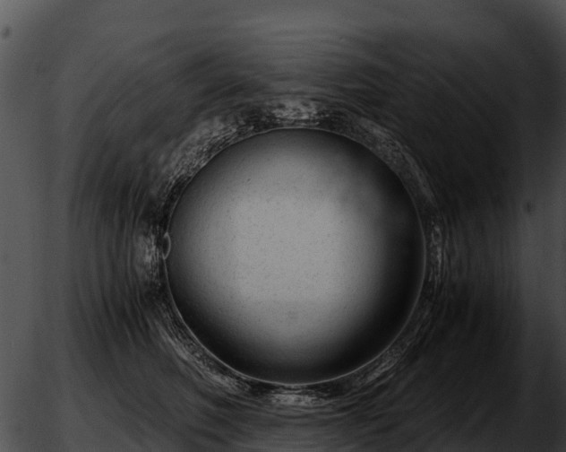 X0000051870614200507020007